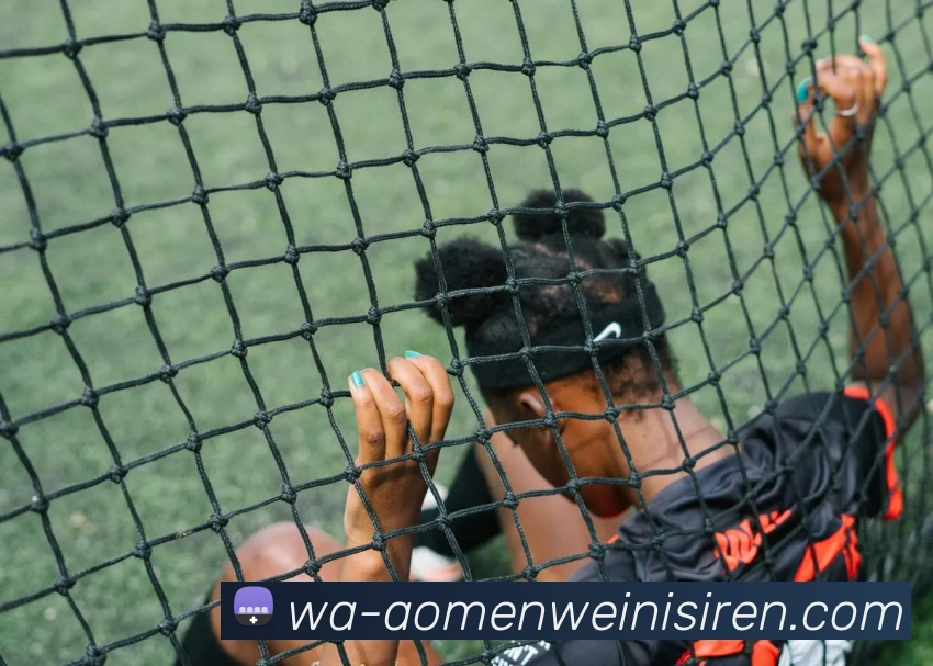 App Interface Preview